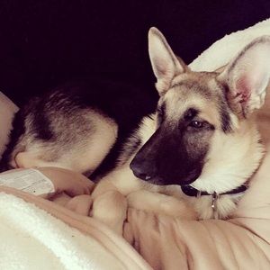 Meet your Posher, Jim